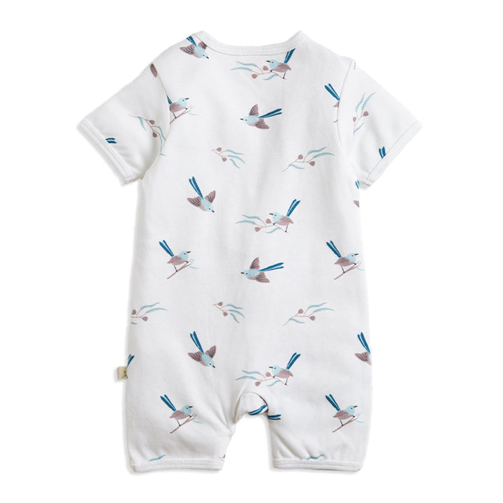 #style_blue-wren