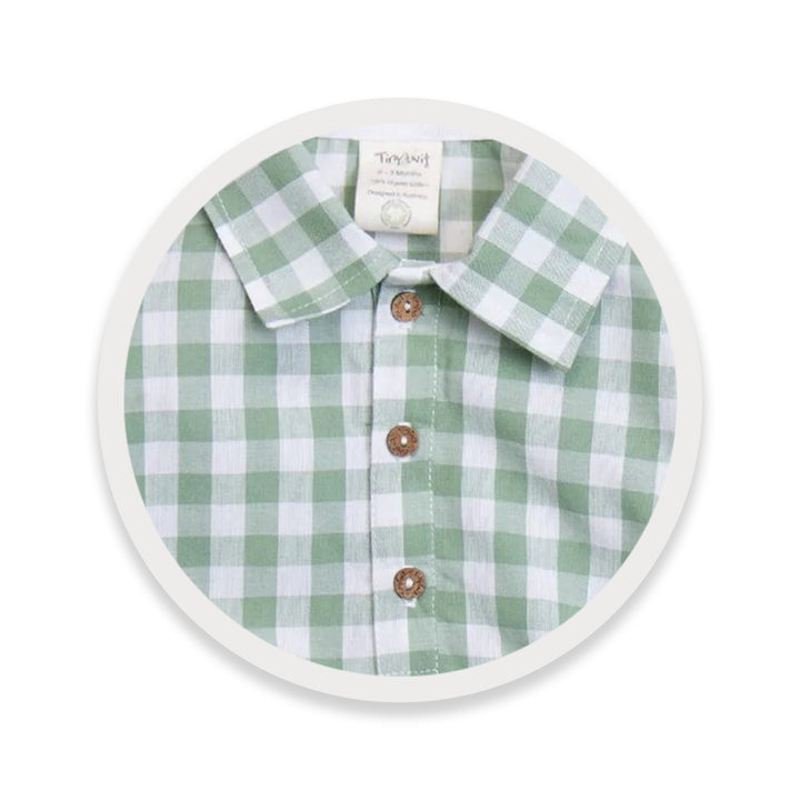 #style_basil-gingham