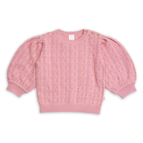 Berry Knit  Organic Cotton Sweater - Baby