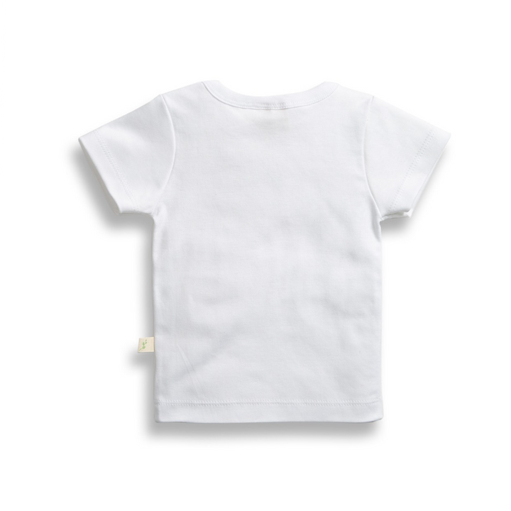 #style_white-desert-dash