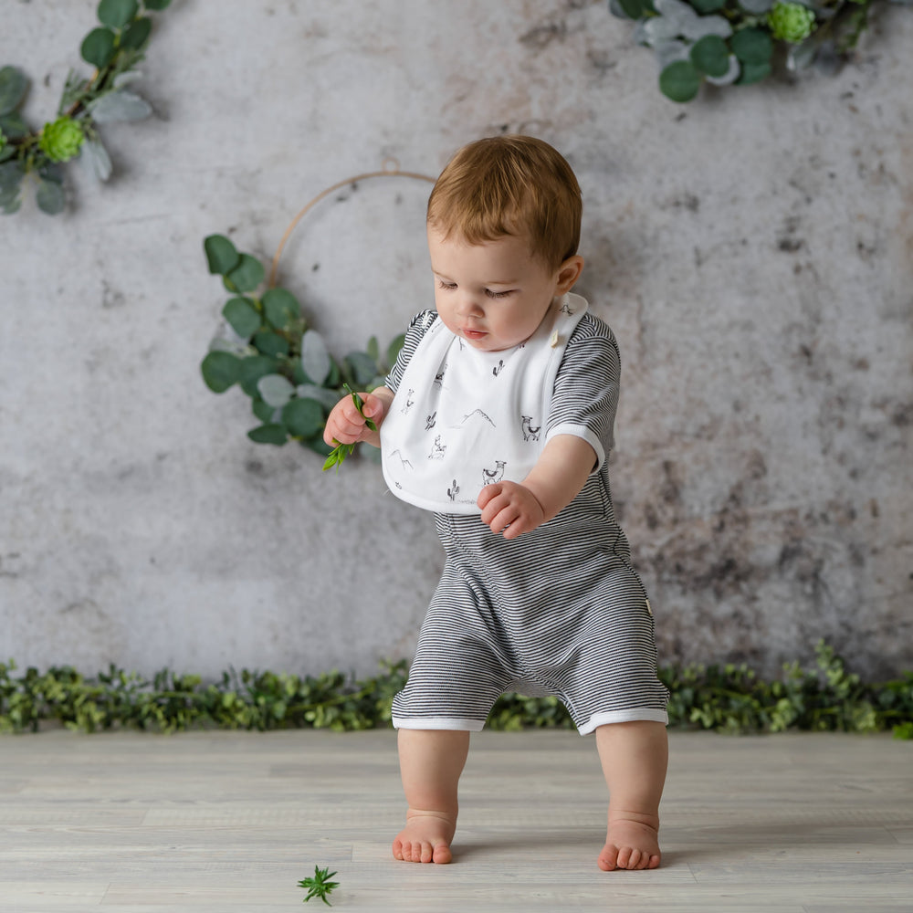 #style_graphite-stripes